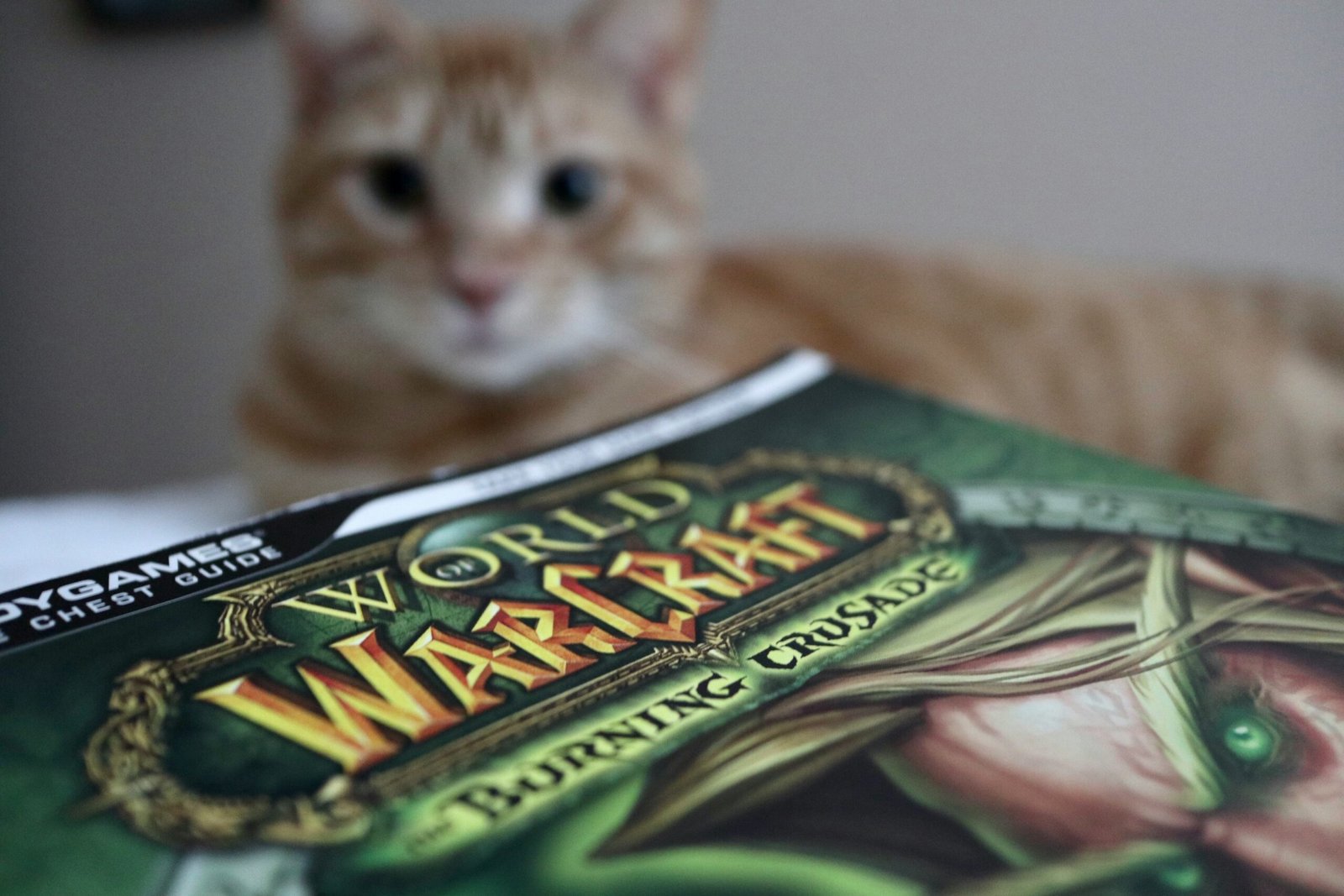 The Thrilling World of Warcraft: A Gaming Adventure